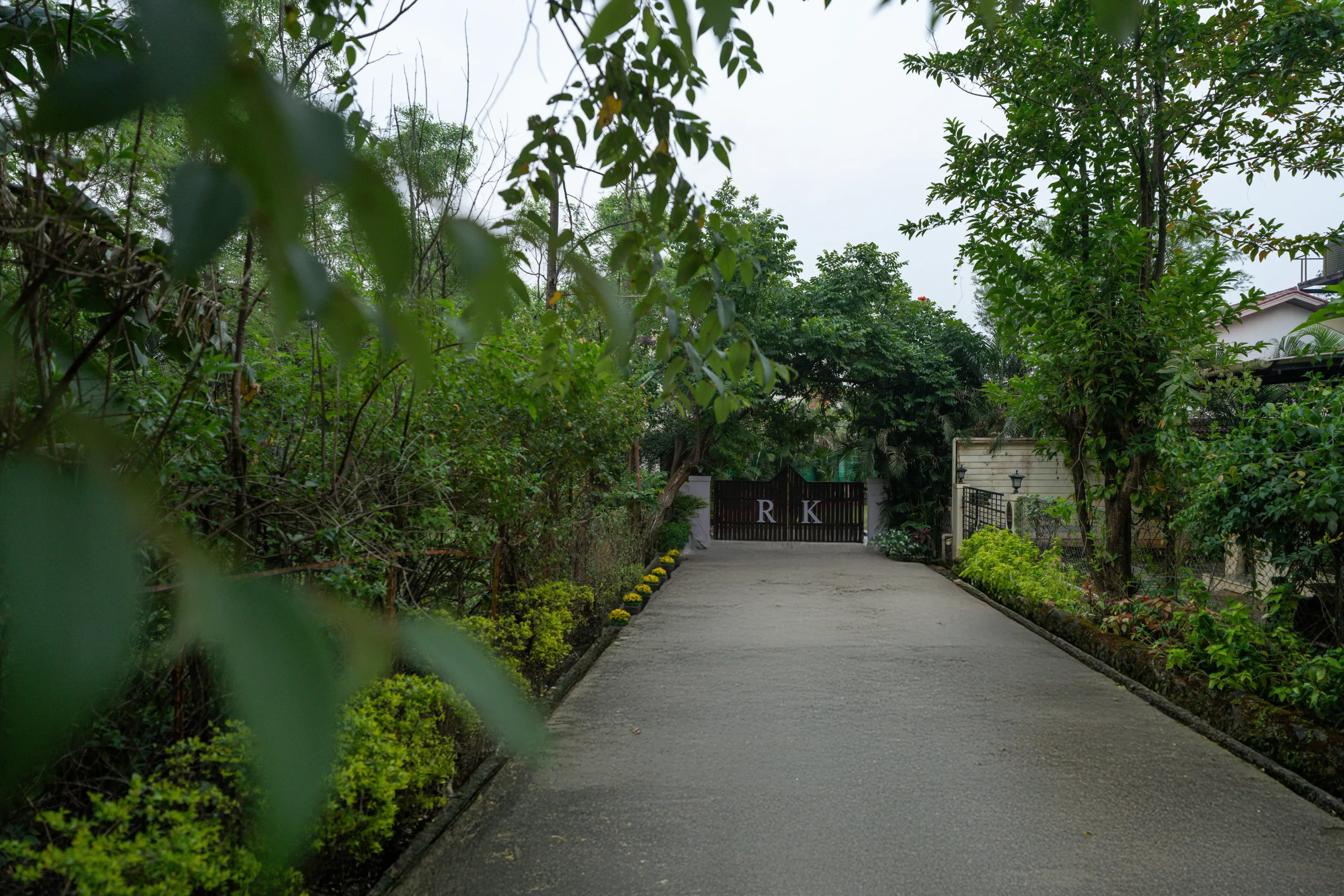 Outside Daylight